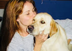 A Labrador retriever giving affectionate kisses to a South Paws staff member