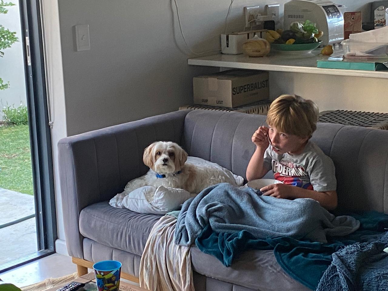A small white dog watching cartoons on the couch with a young boy eating a snack